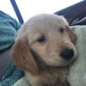 Meet your Posher, Grace.